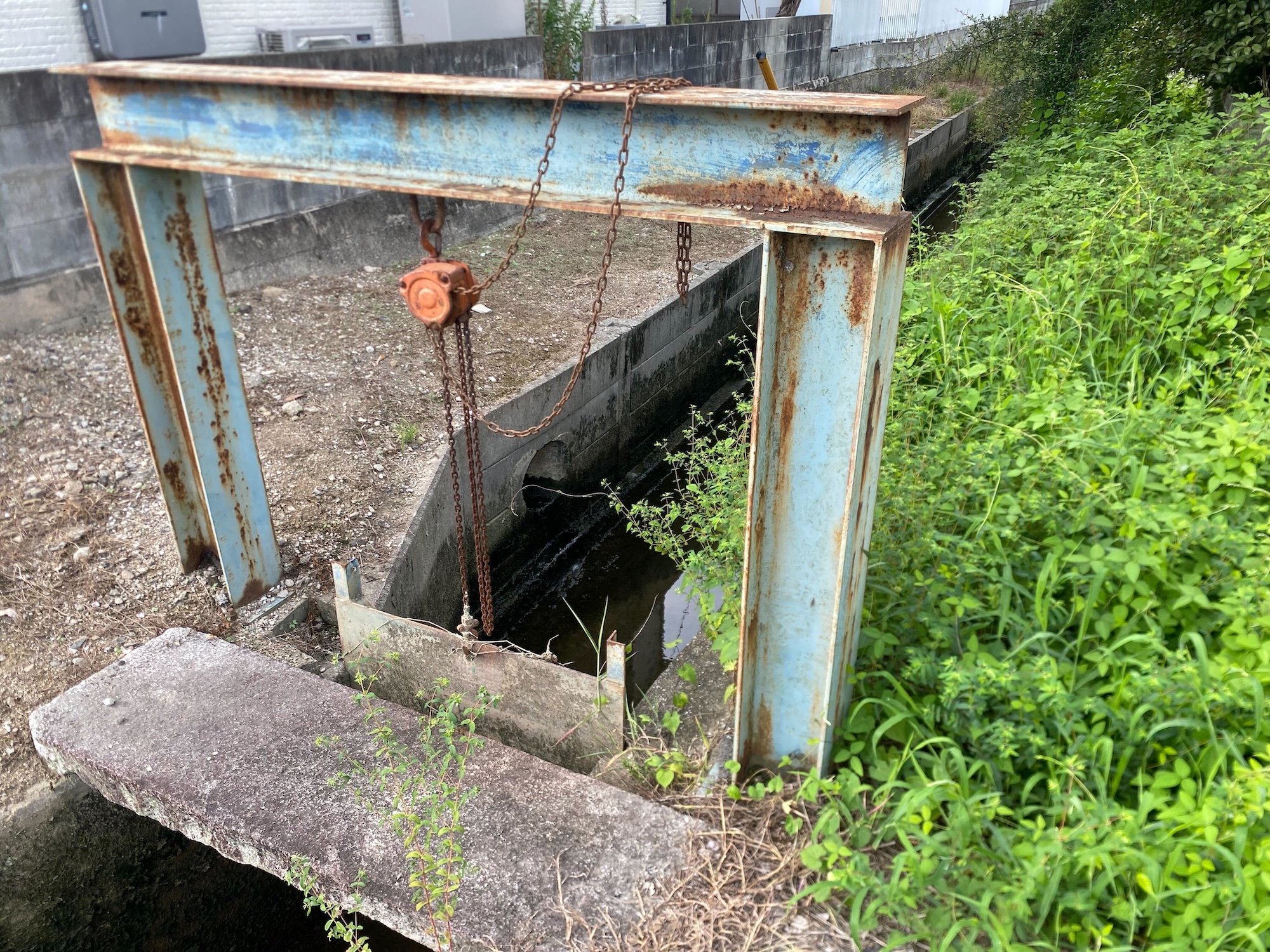 いただきます3