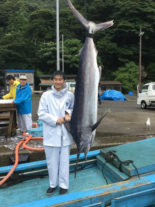 カジキ