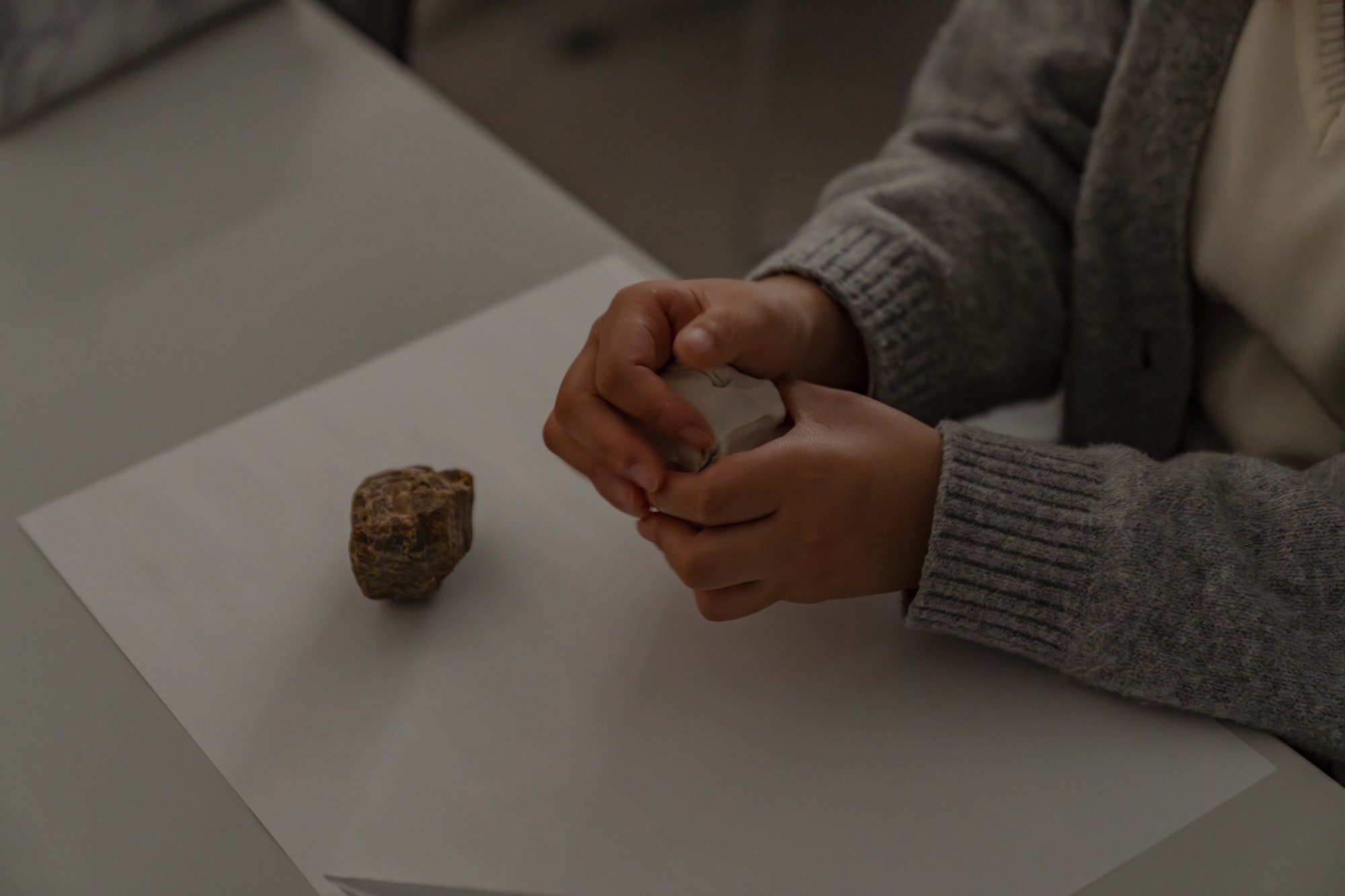 DSC03822 (2025-11-12T10_33_11.891)