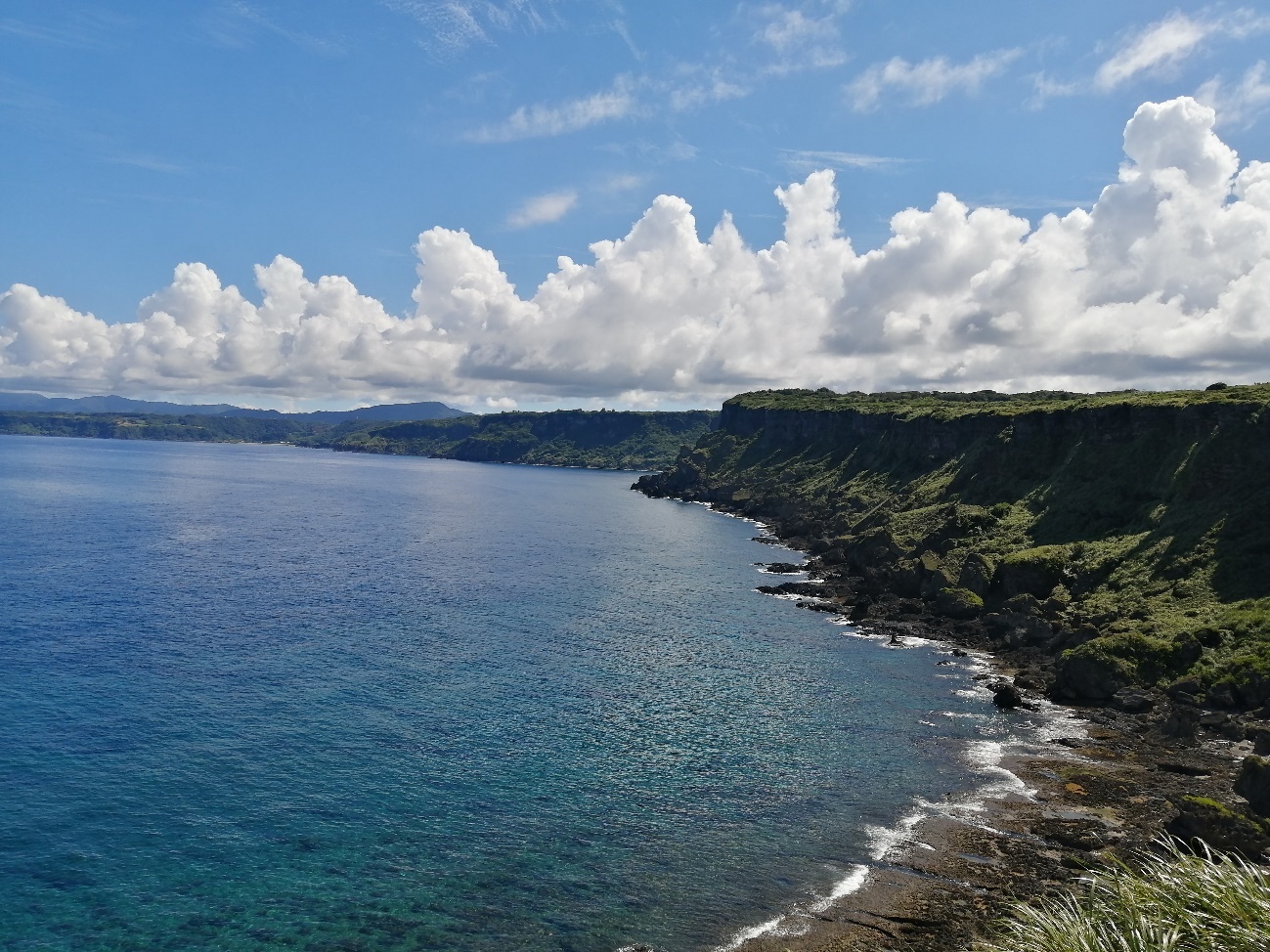 徳之島で気づいた「生きる力」と自然の魔法
