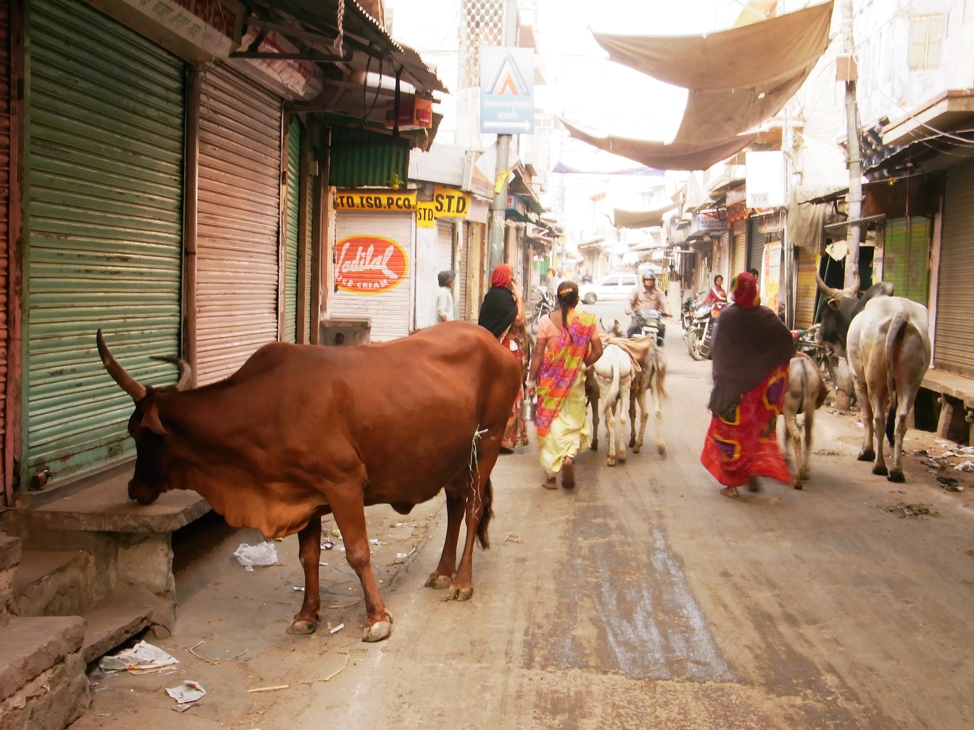 世界が教室！旅する僕の人生へようこそ！